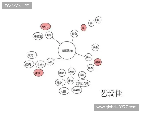 掌握德甲赛场投注技巧提升胜率的实战思路解析